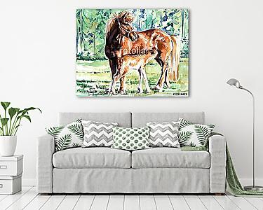 Ló és kicsinye (akvarell) (vászonkép) - vászonkép, falikép otthonra és irodába