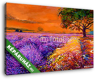 Lavender mezők - vászonkép 3D látványterv