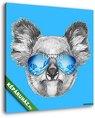Portrait of Koala with mirror sunglasses. Hand drawn illustratio - vászonkép 3D látványterv
