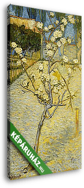 Virágzó kis körtefa - vászonkép 3D látványterv