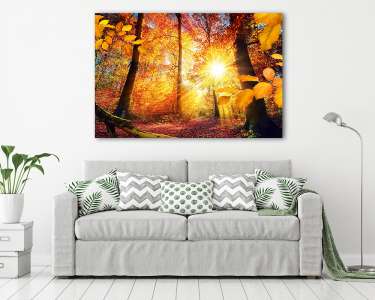 Festői ősz az erdőben, sok nap és élénk színekkel (vászonkép) - vászonkép, falikép otthonra és irodába