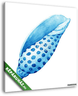 Illustrations of blue sea shells. Marine design. Hand drawn wate - vászonkép 3D látványterv
