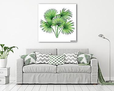 Watercolor painting tree coconut,palm leaf,green leave isolated  (vászonkép) - vászonkép, falikép otthonra és irodába