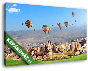 Vadlovak és hőlégballonok, Cappadocia - vászonkép 3D látványterv