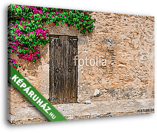 Dorf Haus Mediterran Rustikal mit Holz Tür, Stein Mauer und Boug - vászonkép 3D látványterv