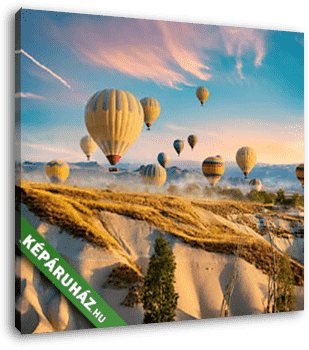 Hőlégballonok - vászonkép 3D látványterv