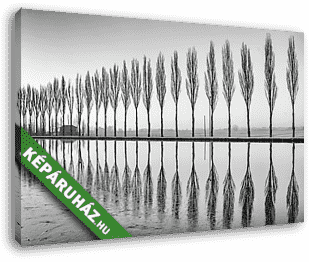 A fák tükröződnek a tónál hajnalban fekete-fehérben - vászonkép 3D látványterv