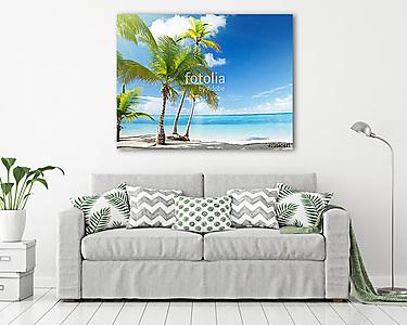 Caribbean sea and coconut palms (vászonkép) - vászonkép, falikép otthonra és irodába