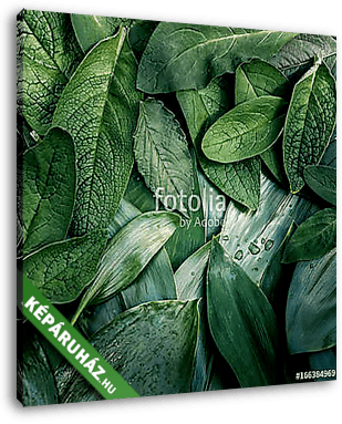 Zöld növényzet - vászonkép 3D látványterv