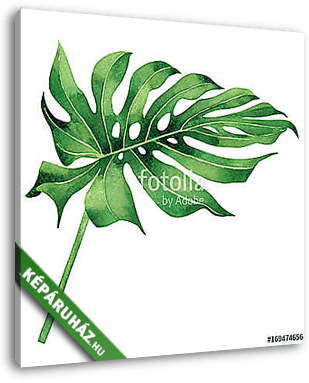 Watercolor painting tropical,palm leaf,green leaves isolated on  - vászonkép 3D látványterv
