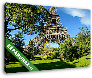 Fák a párizsi parkban - vászonkép 3D látványterv