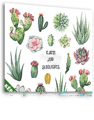 Watercolor vector set of cacti and succulent plants isolated on  - vászonkép 3D látványterv