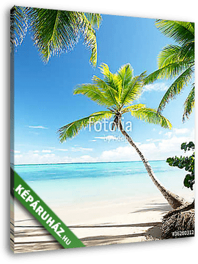 palms on Caribbean beach - vászonkép 3D látványterv