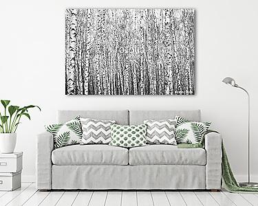 nyírfa, fekete-fehér fotó (vászonkép) - vászonkép, falikép otthonra és irodába