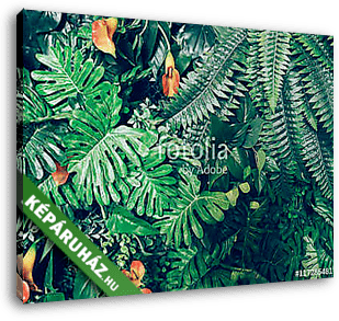 Divatos zöld dzsungel nyári háttér - egzotikus szüreti t - vászonkép 3D látványterv
