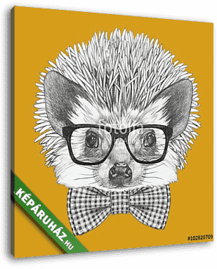 Portrait of Hedgehog with glasses and bow tie. Hand drawn illust - vászonkép 3D látványterv