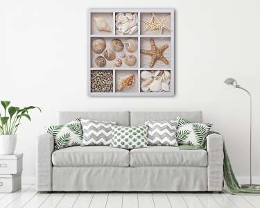 Seashells fehér dobozban (vászonkép) - vászonkép, falikép otthonra és irodába