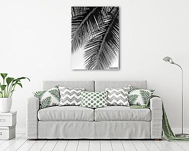 beautiful palms leaf on white background (vászonkép) - vászonkép, falikép otthonra és irodába