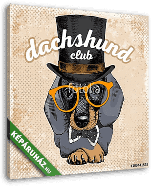 The poster with the portrait of the dog Dachshund in the glasses - vászonkép 3D látványterv