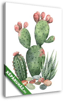 Watercolor vector collection of cacti and succulents plants isol - vászonkép 3D látványterv