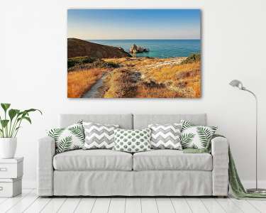 Út a tengeri sziklához (Ciprus) (vászonkép) - vászonkép, falikép otthonra és irodába