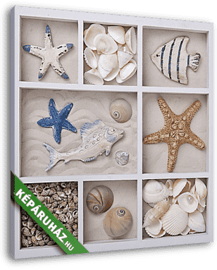 Seashells fehér dobozban - vászonkép 3D látványterv