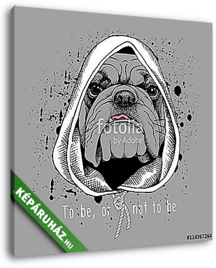 The poster with the image of the dog Bulldog in the hood. Vector - vászonkép 3D látványterv