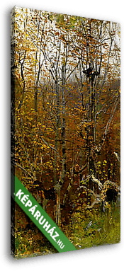 Őszi erdő - vászonkép 3D látványterv