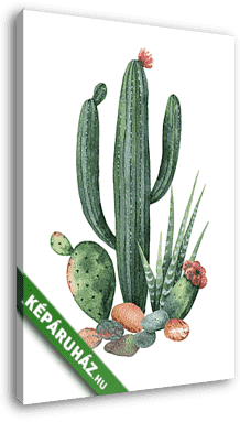 Watercolor collection of cacti and succulents plants isolated on - vászonkép 3D látványterv
