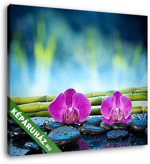A háttérben található orchideák kõ és bambusz a kertben - vászonkép 3D látványterv