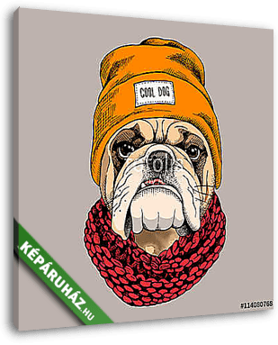Bulldog portrait in a hipster hat and with Knitted scarf. Vector - vászonkép 3D látványterv