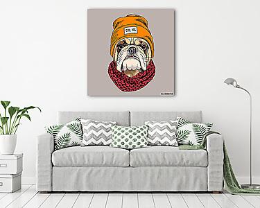 Bulldog portrait in a hipster hat and with Knitted scarf. Vector (vászonkép) - vászonkép, falikép otthonra és irodába
