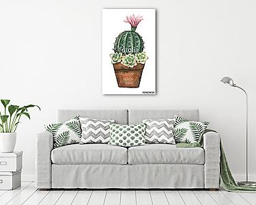 Watercolor vector composition of cacti and succulents in a pot i (vászonkép) - vászonkép, falikép otthonra és irodába