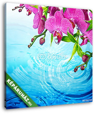 lila orchidea hullámos kék vízzel - frissesség fogalmát - vászonkép 3D látványterv
