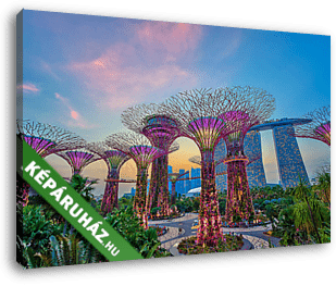napnyugta Szingapúrban - vászonkép 3D látványterv