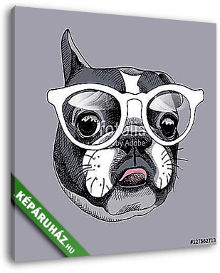 French Bulldog portrait in a glasses. Vector illustration. - vászonkép 3D látványterv