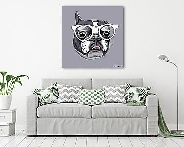 French Bulldog portrait in a glasses. Vector illustration. (vászonkép) - vászonkép, falikép otthonra és irodába