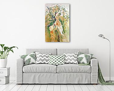 Cseresznyefa tanulmány (vászonkép) - vászonkép, falikép otthonra és irodába