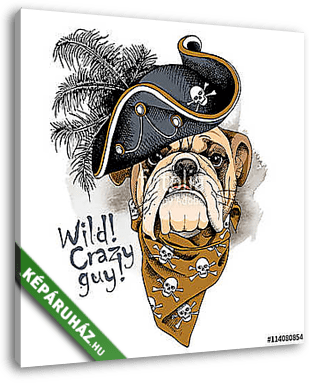 Bulldog portrait in a Pirates Hat and with neckerchief. Vector i - vászonkép 3D látványterv