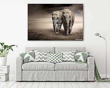 Elefántok párja a mozgásban (vászonkép) - vászonkép, falikép otthonra és irodába