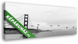 Golden Gate Bridge fekete-fehérben, San Francisco - vászonkép 3D látványterv