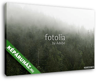 Forest in the mist - vászonkép 3D látványterv