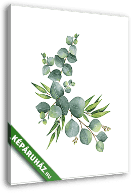 Watercolor vector wreath with green eucalyptus leaves and branch - vászonkép 3D látványterv