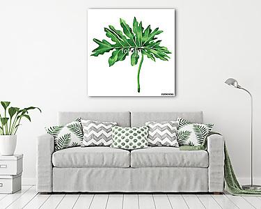 Watercolor painting tropical,palm leaf,green leaves isolated on  (vászonkép) - vászonkép, falikép otthonra és irodába
