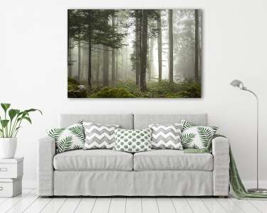 Lovely foggy forest tree landscape. (vászonkép) - vászonkép, falikép otthonra és irodába