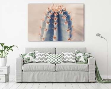 Pasztel kaktusz (vászonkép) - vászonkép, falikép otthonra és irodába