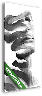 Absztrakt portré - vászonkép 3D látványterv