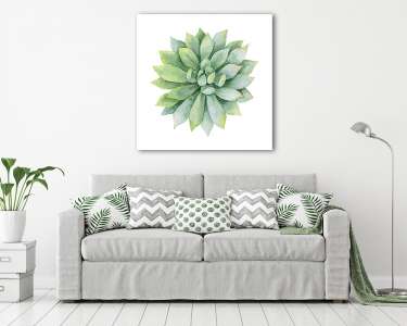 Watercolor vector green succulent isolated on white background. (vászonkép) - vászonkép, falikép otthonra és irodába