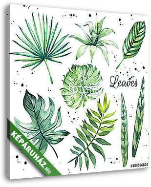 Illustration with tropical leaves. Watercolor set of green leave - vászonkép 3D látványterv