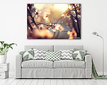 Gyönyörű természeti jelenet virágzó fa és napfény (vászonkép) - vászonkép, falikép otthonra és irodába